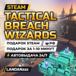 Tactical Breach Wizards | Подарок Steam | РФ | Автодоставка 24/7