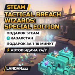Tactical Breach Wizards: Special Edition | Подарок Steam | Казахстан | 24/7