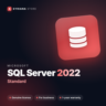 Microsoft SQL Server 2022 Standard — лицензионный ключ