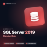 Microsoft SQL Server 2019 Standard CAL — лицензионный ключ