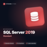 Microsoft SQL Server 2019 Standard — лицензионный ключ