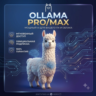 Ollama Cloud AI | Подписка PRO/MAX на 1 месяц | Полная гарантия и низкая цена