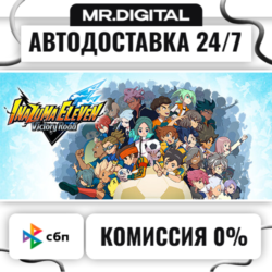 INAZUMA ELEVEN: Victory Road STEAM АВТОВЫДАЧА 24/7