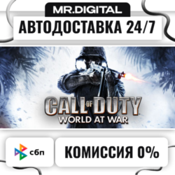 Call of Duty: World at War STEAM АВТОВЫДАЧА 24/7