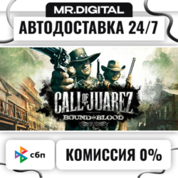 Call of Juarez: Bound in Blood STEAM АВТОВЫДАЧА 24/7
