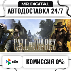 Call of Juarez STEAM АВТОВЫДАЧА 24/7