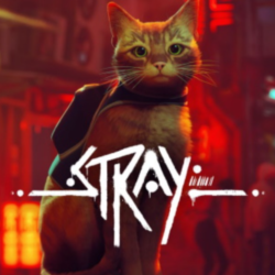 stray steam account pc free bonus game instant delivery