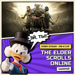 The Elder Scrolls Online | Steam ключ | АВТОВЫДАЧА | РФ и СНГ