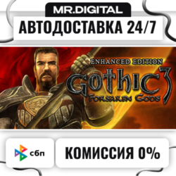 Gothic 3: Forsaken Gods Enhanced Edition STEAM АВТОВЫДАЧА 24/7