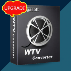 Ключ для Bigasoft WTV Converter 2026 (бессрочная лицензия / 1 ПК)