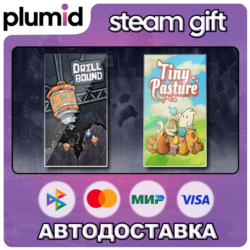 Drillbound & Tiny Pasture Steam Gift / Россия   МИР / АВТО