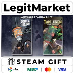 Drillbound & I Am Legion: Stand Survivors / Steam АВТО / РУ   МИР