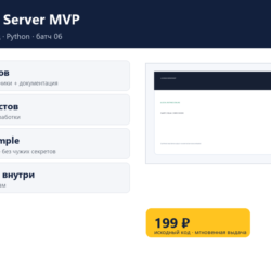 License Server MVP — исходный код