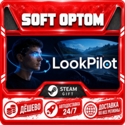 LookPilot · Steam ЛЮБОЙ РЕГИОН · АВТО 24/7
