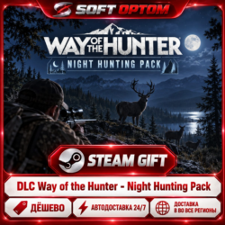 DLC Way of the Hunter - Night Hunting Pack · Steam ЛЮБОЙ РЕГИОН · АВТО 24/7