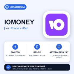 ЮMoney на iPhone БЕЗ ПК | Автовыдача 24/7 | Установка 2 мин