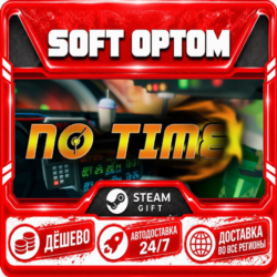 No Time · Steam ЛЮБОЙ РЕГИОН · АВТО 24/7