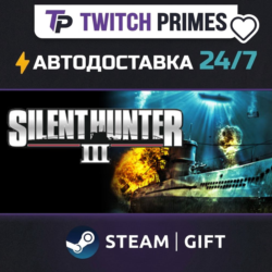 Ru СНГ Китай "Silent Hunter® III" Steam Gift автовыдача 24/7