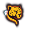 Cheetah Pro Tool — аренда аккаунта на 4 часа