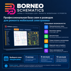 Borneo Schematics лицензия 3/6/12 месяцев