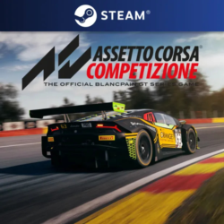 Assetto Corsa Competizione Standard Edition (Steam) RU/CIS