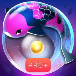 Zen Koi Pro  ios App Store iPhone iPad