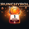 Crunchyroll Fan1 Месяцев | Activation Link