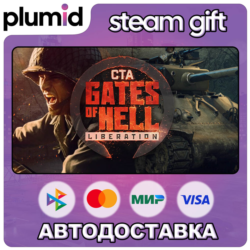 DLC Call to Arms - Gates of Hell: Liberation Steam Gift / Россия   МИР / АВТО