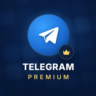 Telegram Premium подарком — подписка 3/6/12 месяцев по @username