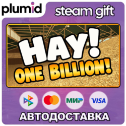 Hay! One Billion! Steam Gift / Россия   МИР / АВТО