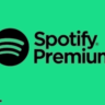 Дешевая подписка Spotify Premium на 1 месяцев работает по всему миру!