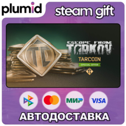 DLC Escape from Tarkov: TarCoin Special Offer Steam Gift / Россия   МИР / АВТО