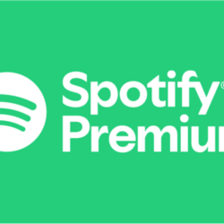 Spotify Premium 12 месяцев
