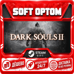 DARK SOULS™ II: Bundle (DX9) · Steam ЛЮБОЙ РЕГИОН · АВТО 24/7