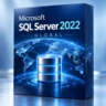 Microsoft SQL Server 2022 Global ключ активации