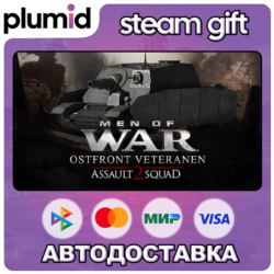 DLC Men of War: Assault Squad 2 - Ostfront Veteranen Steam Gift / Россия   МИР / АВТО