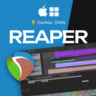 Cockos REAPER | ЛИЦЕНЗИЯ • АВТО-ДОСТАВКА 24/7