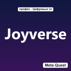 Ключ Joyverse Meta Oculus Quest