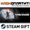 Rise of the Tomb Raider™ 20 Year Celebration · Steam РОССИЯ и ВСЕ СТРАНЫ