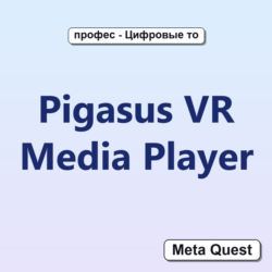 Pigasus VR Media Player VR Ключ Meta Oculus Quest
