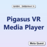 Pigasus VR Media Player VR Ключ Meta Oculus Quest