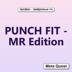 PUNCH FIT - MR Edition VR Ключ Meta Oculus Quest