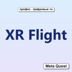 Ключ XR Flight Meta Oculus Quest