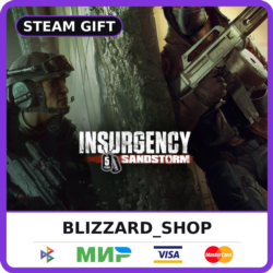 Insurgency: Sandstorm - Steam Gift (РФ, KZ, UA, TR), автовыдача 24/7
