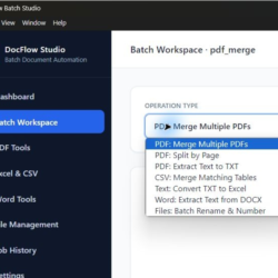 DocFlow Batch Studio — PDF, Excel, CSV и Word для Windows