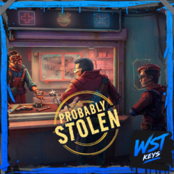 Probably Stolen • Ключ Steam (Россия, Турция и СНГ без TJ, AZ | Автовыдача 24/7)