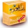 HYIP Manager pro 2   10 шаблонов